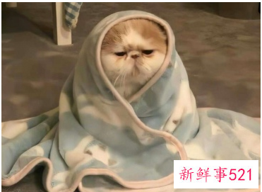 三伏天感冒发朋友圈配文字的心情说说