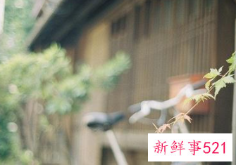 跟有女朋友的男生睡了