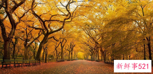 解决心情烦躁的方法