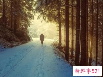 一个人太想你你就会梦到他