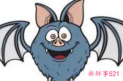 梦见蝙蝠飞到自己身上是什么意思