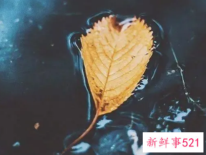 特别委屈想哭的句子简短