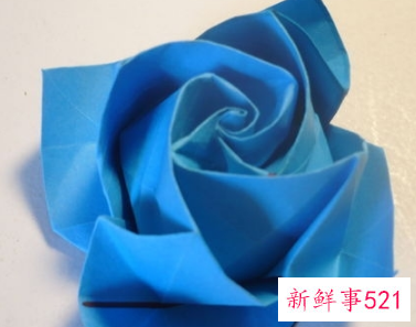 简易折纸花玫瑰花