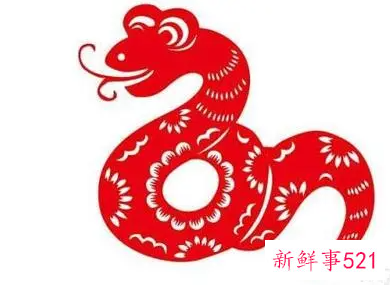 属蛇和属蛇的夫妻结局