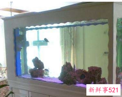 养鱼的寓意和象征风水