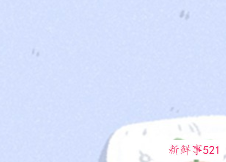 猴猪属相结婚合适吗