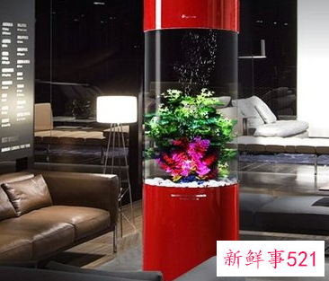 十二星座专属礼物