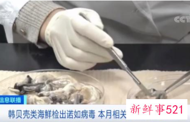 这种食物别生吃，韩国已超200人中招