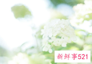 有创意搞笑昵称