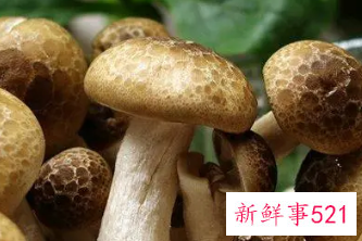 长期吃菌类可以抗癌吗