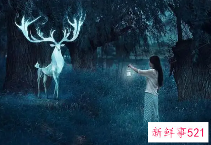 梦见另一个自己的生活