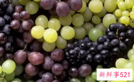 如何选购好的葡萄