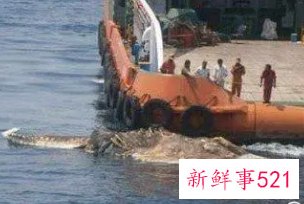 梦见孙女掉水里了是什么意思