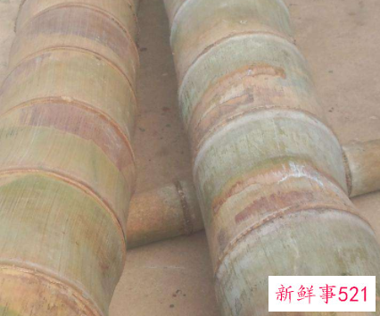 世界上最大的竹子品种