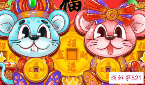 属鼠明年的运势怎么样