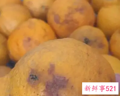 怎样储存桔子不烂