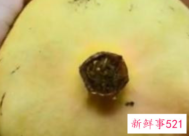 挑选什么样的石榴好吃