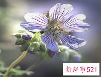 女人精神出轨的8大表现