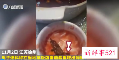 男子饭店吃出蟑螂碗被老板抢走详情