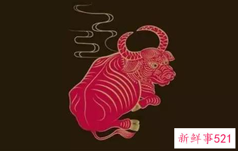 什么属相配什么属相最好