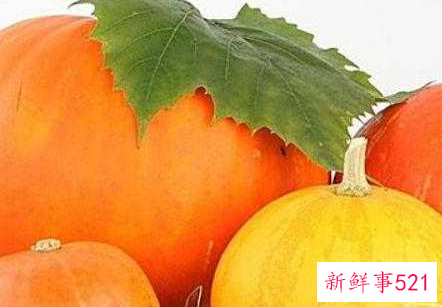 圆南瓜和长南瓜哪个营养高