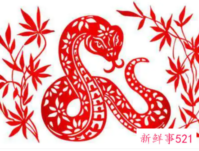 属蛇和属蛇的夫妻结局