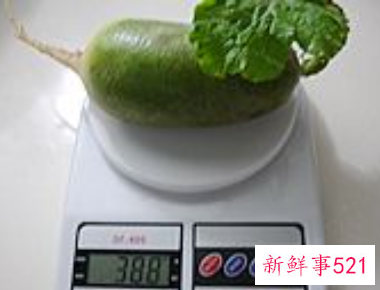 青红萝卜香螺汤