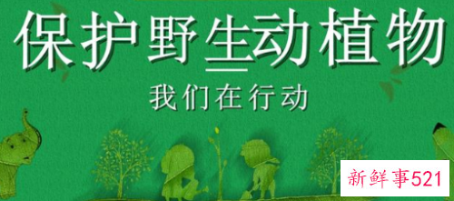 大学生如何保护野生动植物