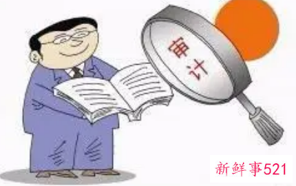 审计工作者年终总结