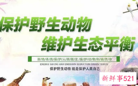 增强对野生动物的保护意识的宣传标语