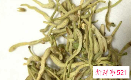 金银花和什么搭配最佳