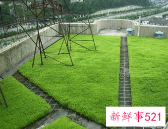 搭建隔热层的法律规定