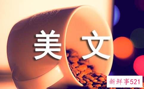 永恒和永远情感美文