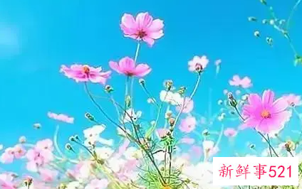 曾经改变了无数人的为人金句