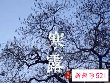 寒露和白露和霜降的区别