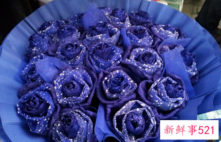 蓝色妖姬代表什么含义