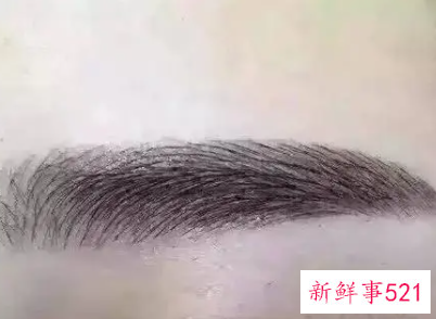 梦见画眉毛是什么意思