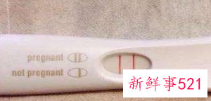 验孕棒验孕后结果怎么看