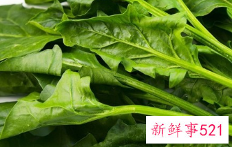 阳台非常好养的蔬菜