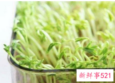 去除鞋子霉点小妙招