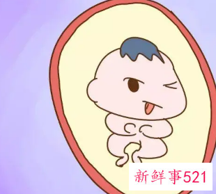 在妈妈肚子里一天顶外面一周吗