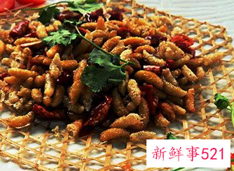 蜂蛹的吃法和功效