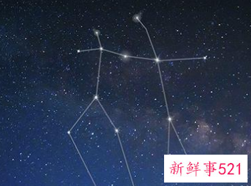 公认最没实力的星座