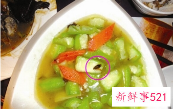 男子饭店吃出蟑螂碗被老板抢走详情