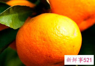 桔子大量保鲜储存方法