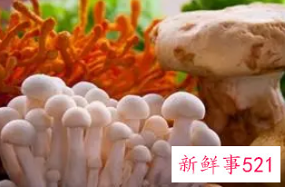 长期吃菌类可以抗癌吗