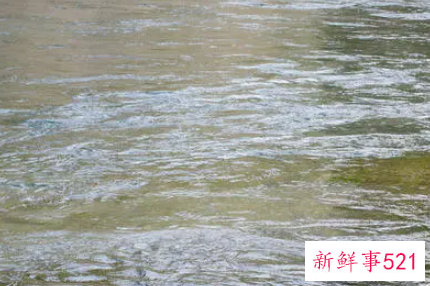 梦见河水上涨有什么征兆