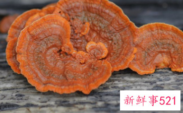 灵芝食用方法