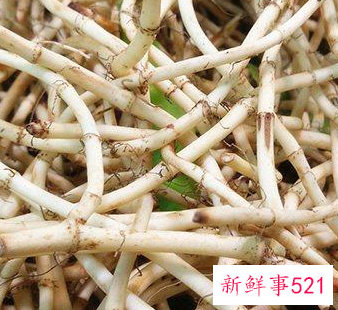 鱼腥草的功效与作用及食用方法