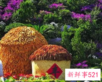 梦见仓廪有什么征兆